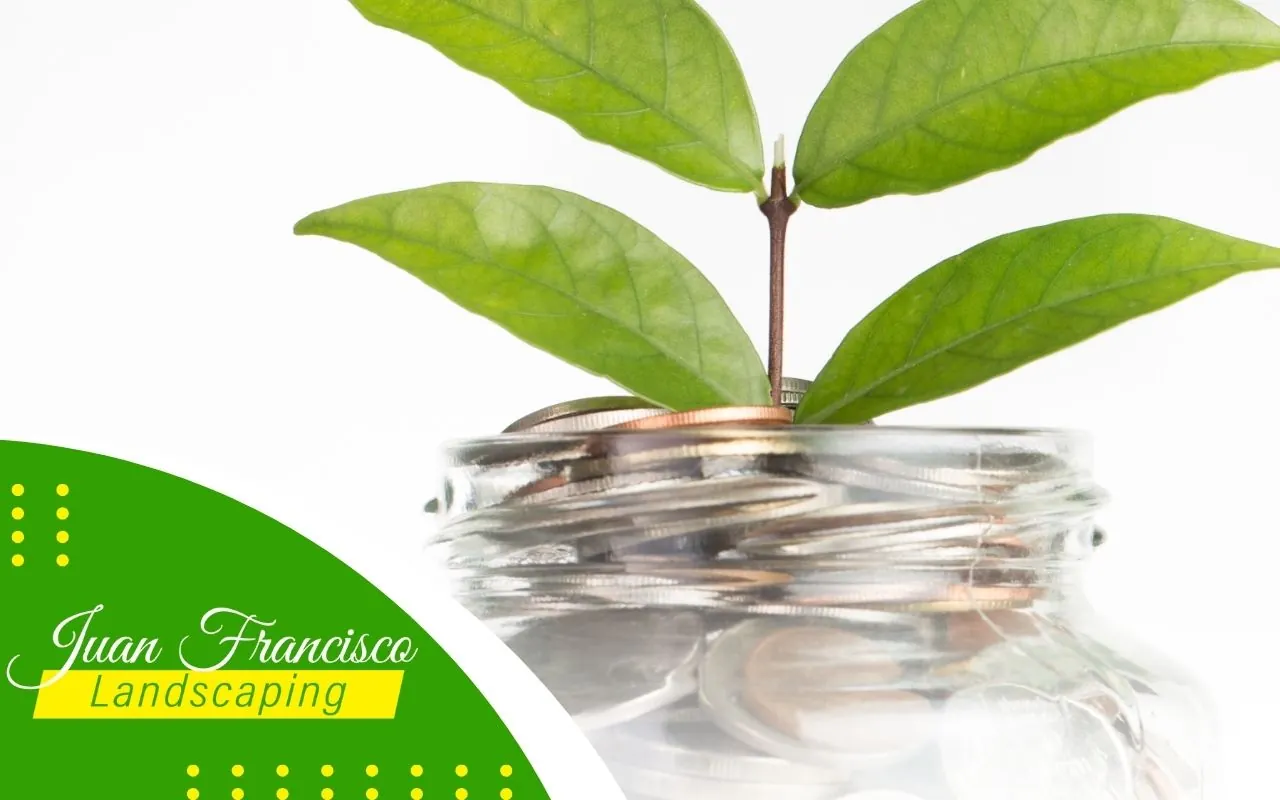 Prioritizing Essential Lawn Care Tasks