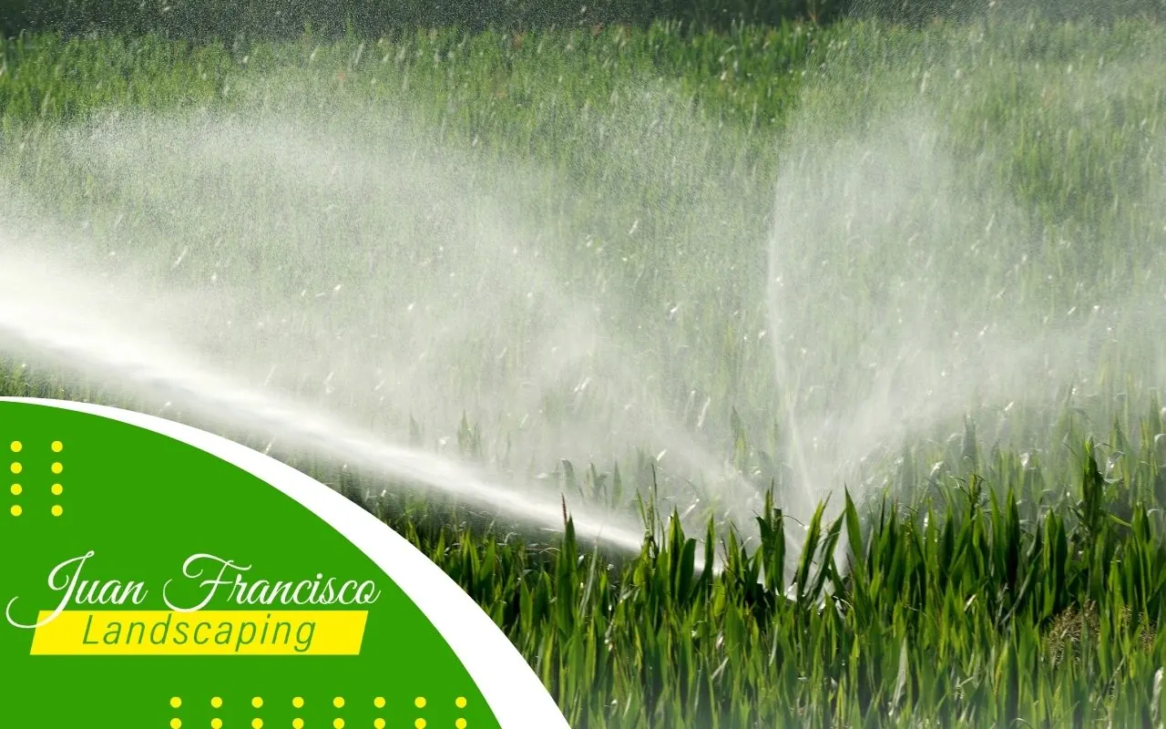 Consider Sunlight and Shade Areas