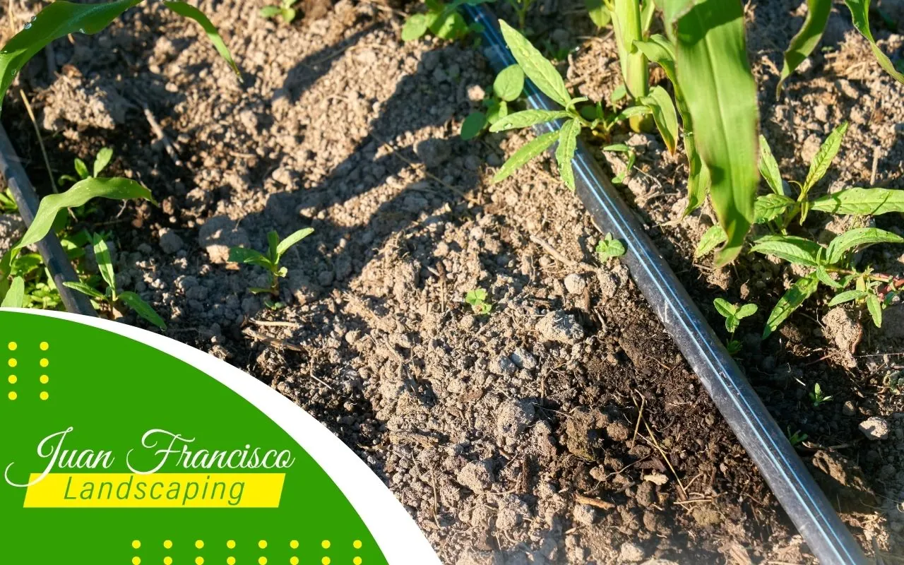 Use the Right Irrigation Tools