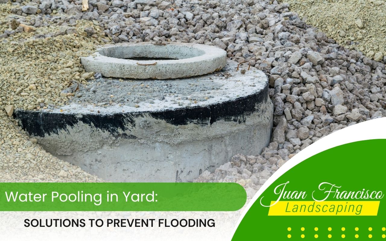 Installing a dry well to capture excess water and improve drainage in the yard