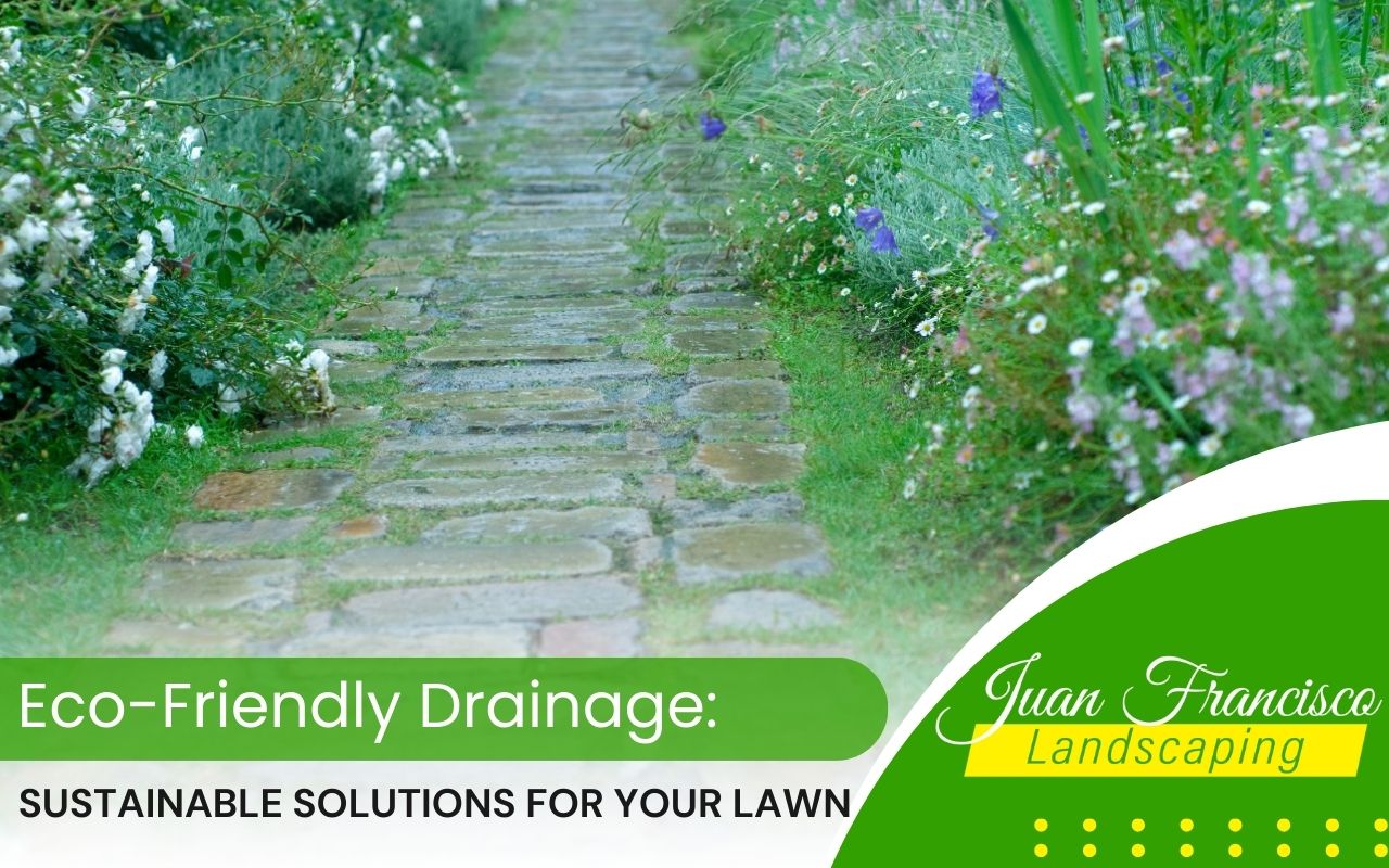 Eco-friendly rain garden absorbing and filtering rainwater runoff in a Knoxville landscape