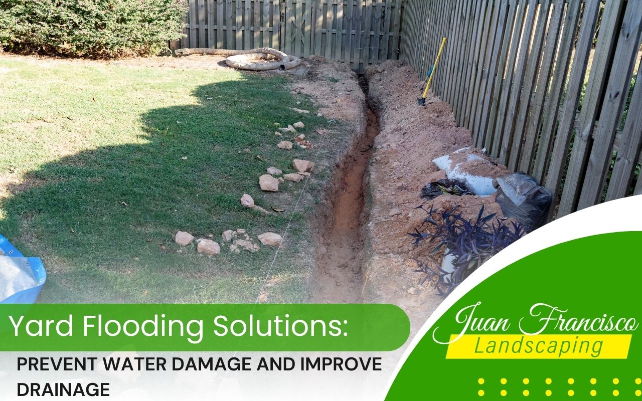 Re-grading a yard for proper water flow and drainage improvement