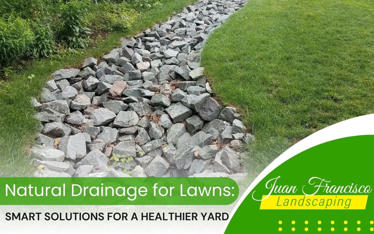 Natural lawn drainage in a green residential yard in Knoxville