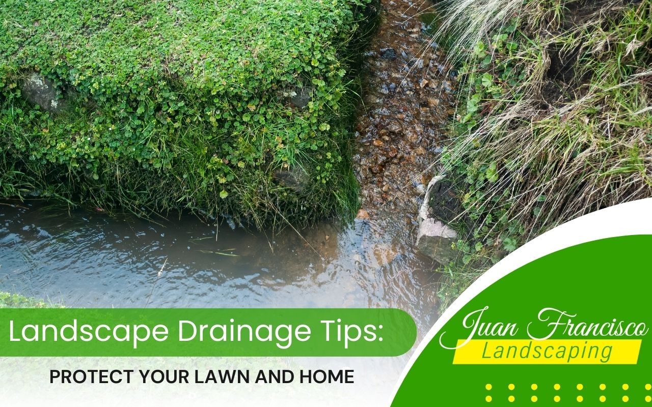 Creating a swale to redirect water away from the yard in a Knoxville landscape