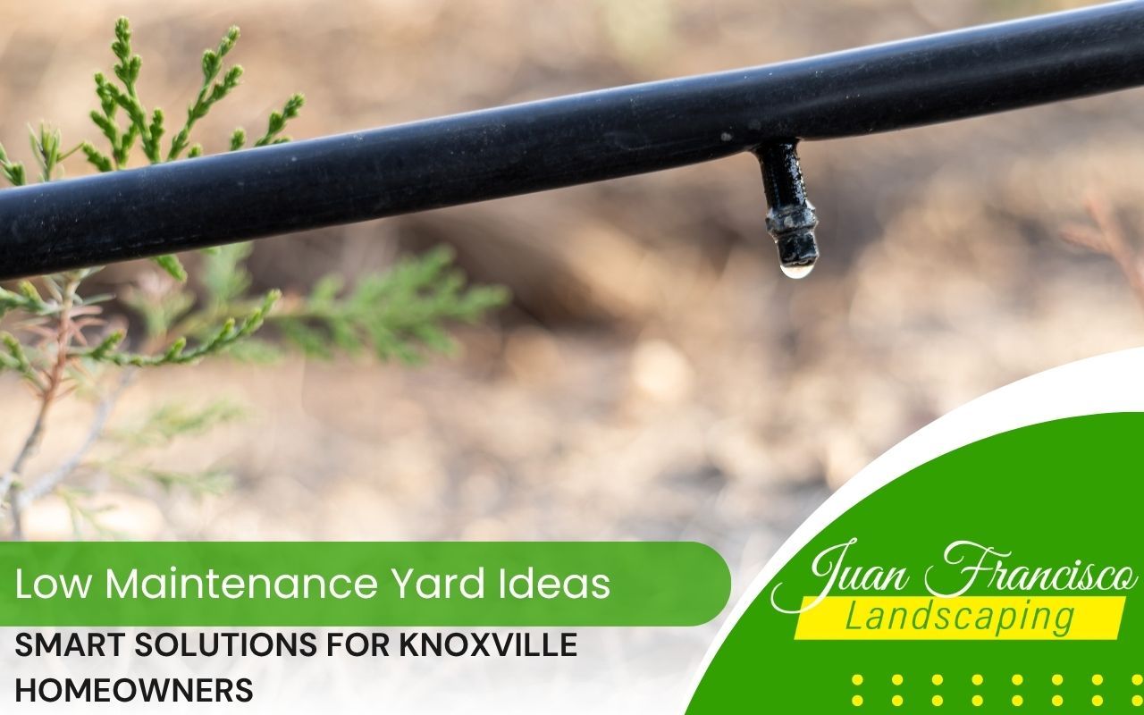 Drip irrigation watering garden bed automatically