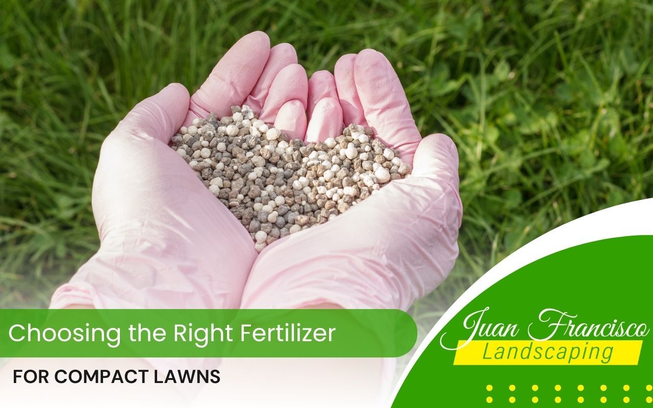 Applying fertilizer to a small, green compact lawn in Knoxville