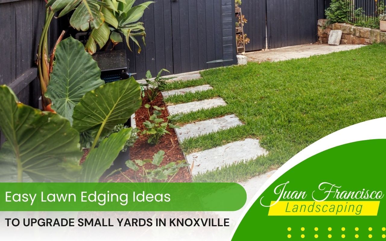 Small backyard with stone and mulch lawn edging design