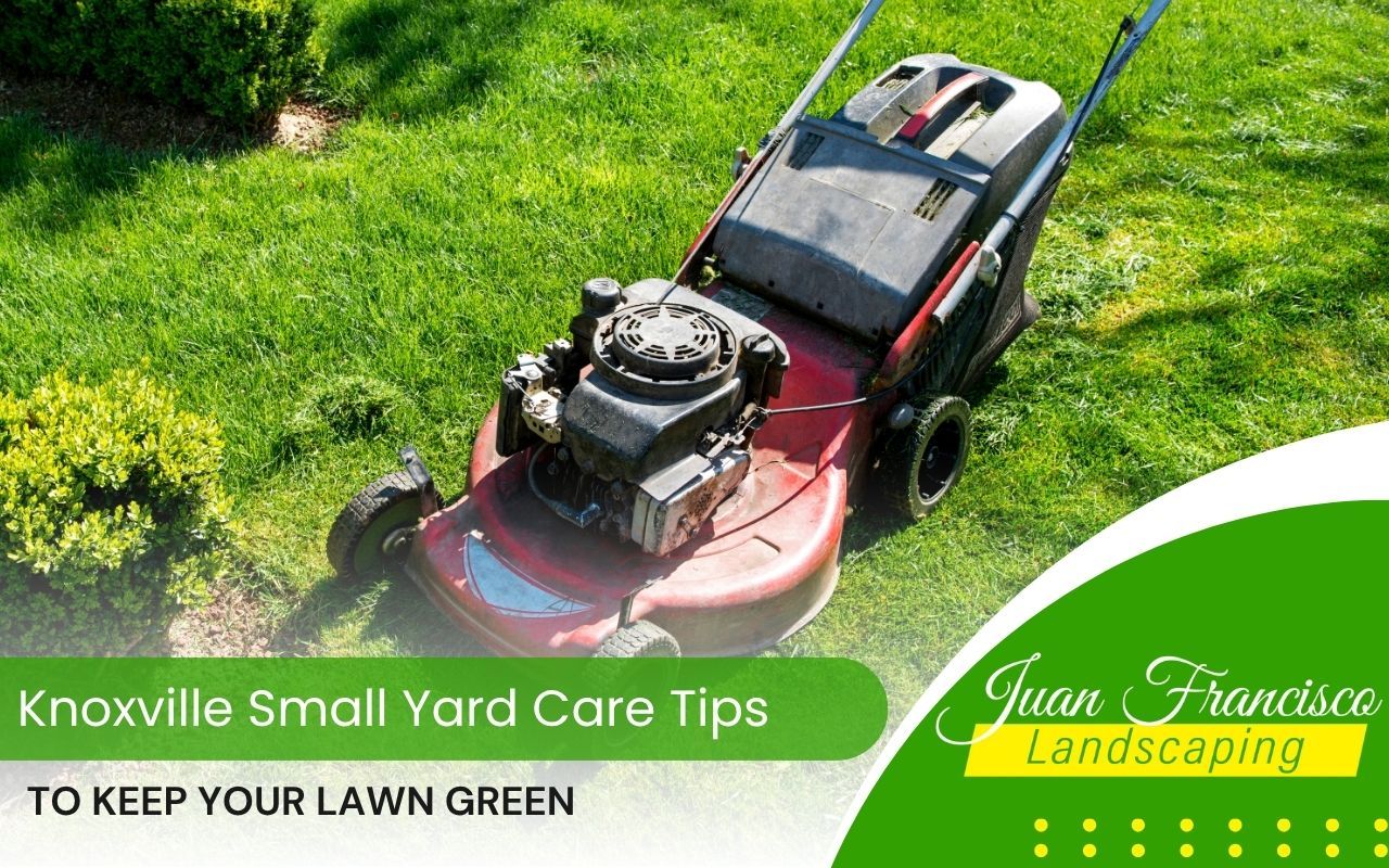 Mower cutting a compact residential lawn in Knoxville