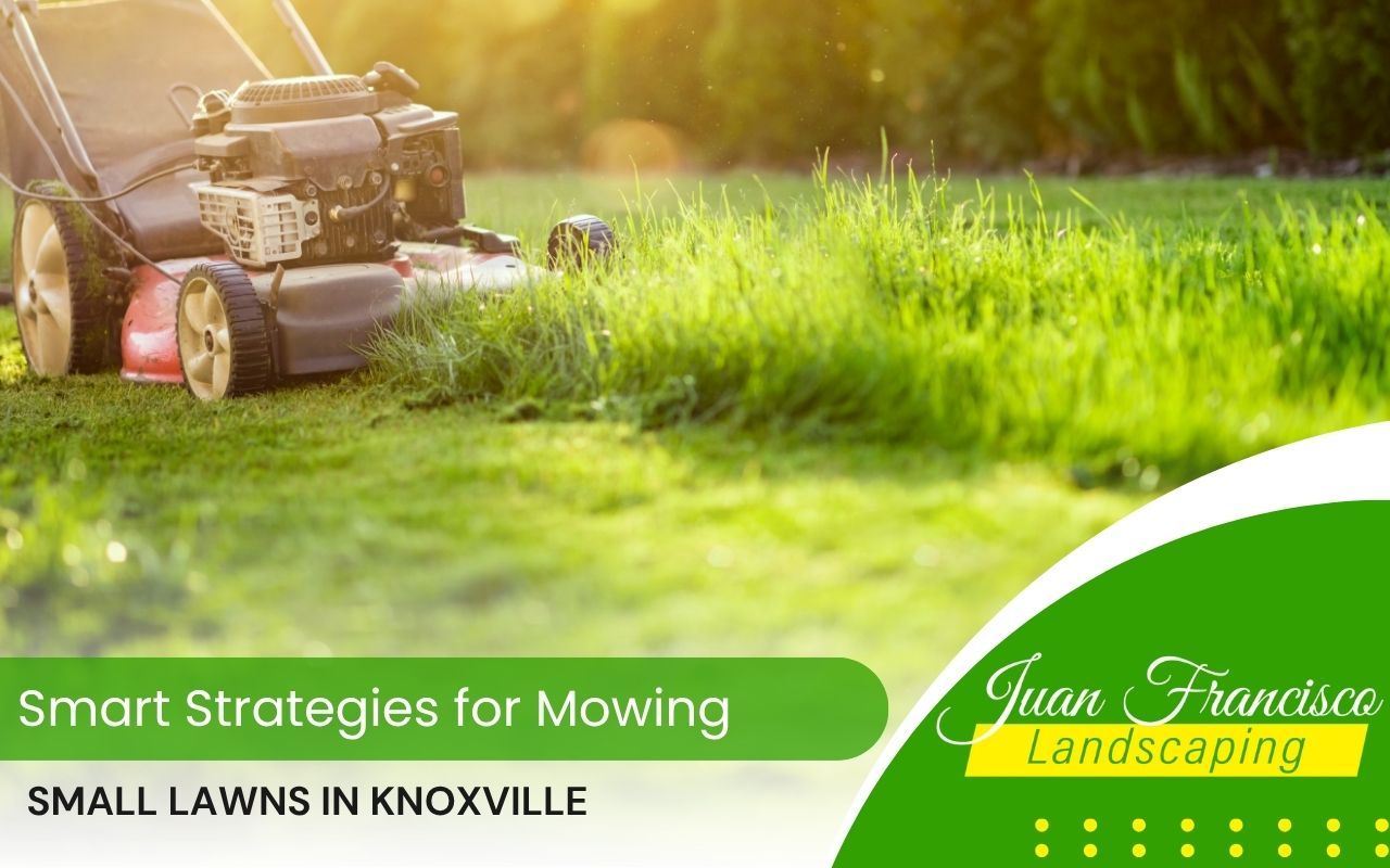 Lawn mower being used on a small green backyard