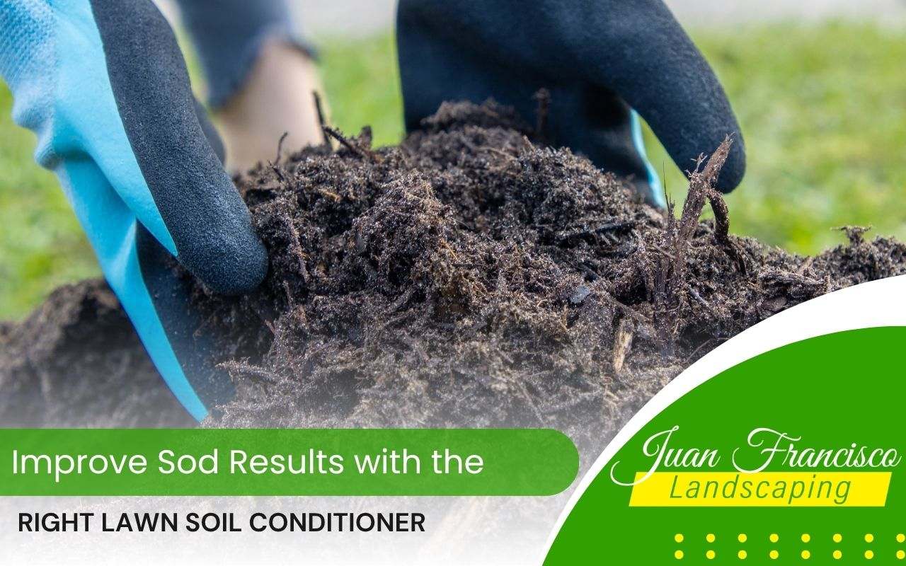 Compost used as a natural soil conditioner before sod installation