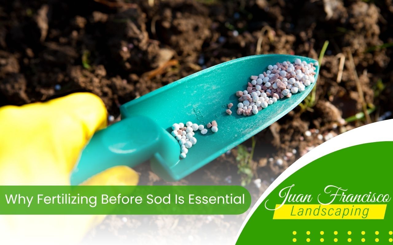 Granular fertilizer being spread on soil before sod installation in Knoxville