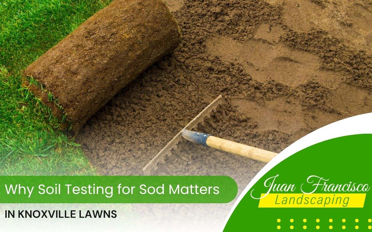 Lawn area being tilled and leveled in preparation for new sod