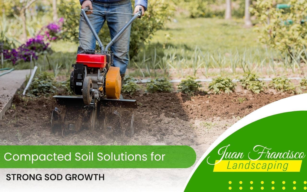 Tiller breaking up compacted clay soil before laying sod