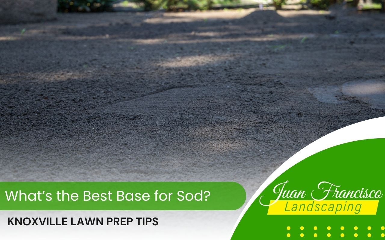 Rich, dark topsoil being leveled before laying sod in a backyard