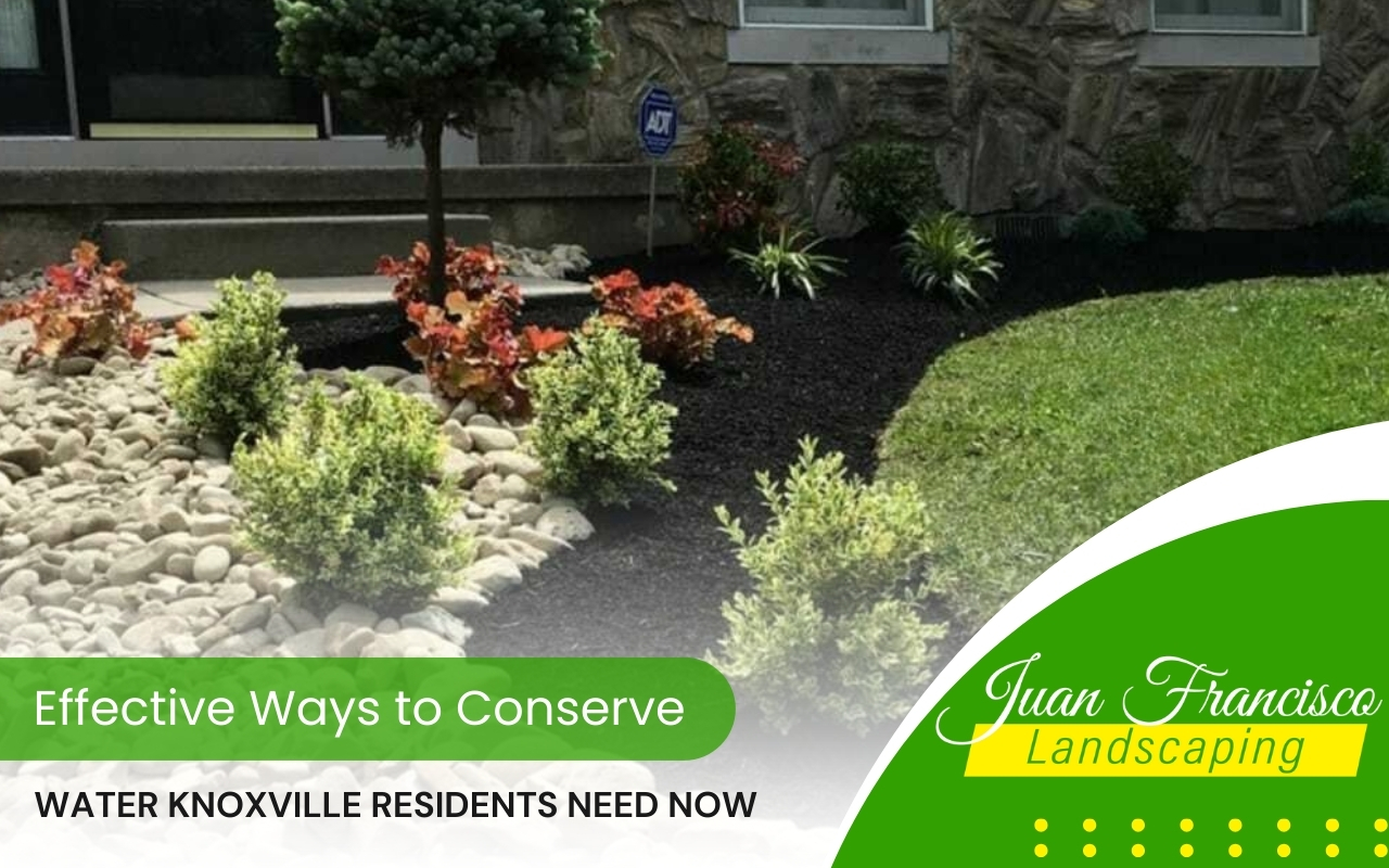 Knoxville garden using water-efficient landscaping