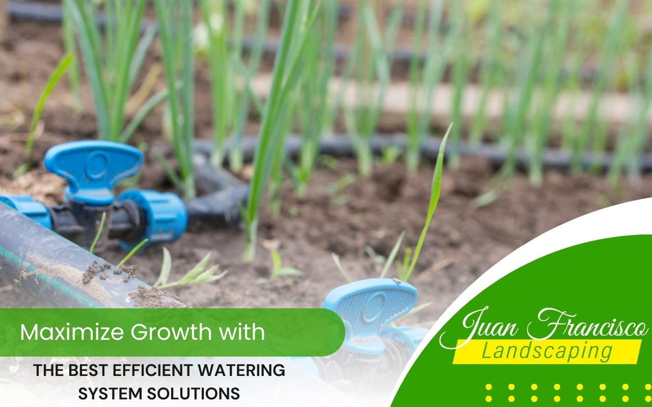 Drip irrigation system delivering water directly to plant roots for efficient watering