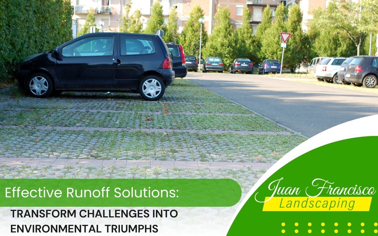 Green roofs as sustainable runoff solutions for urban areas