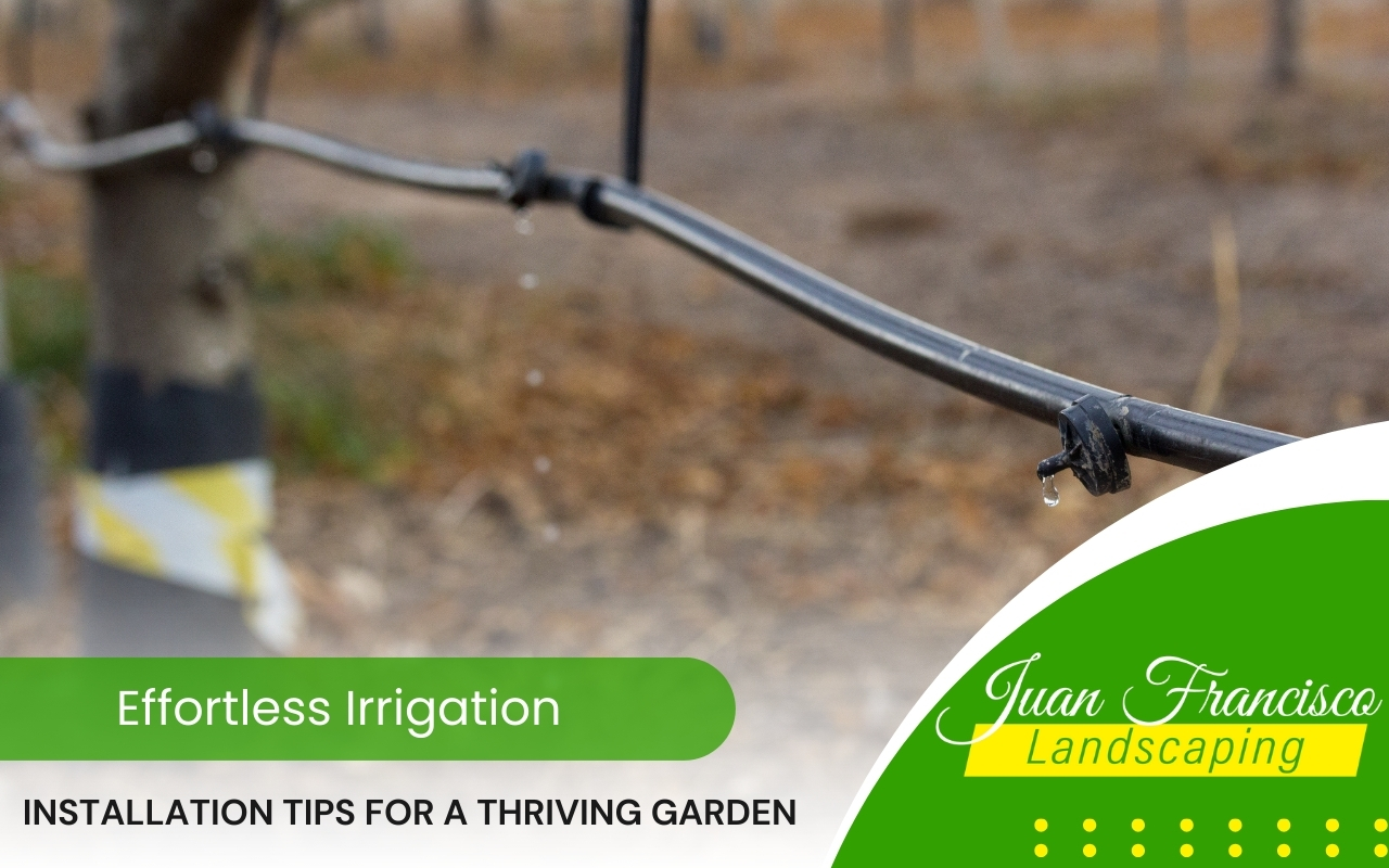 Drip irrigation system providing water directly to plant roots