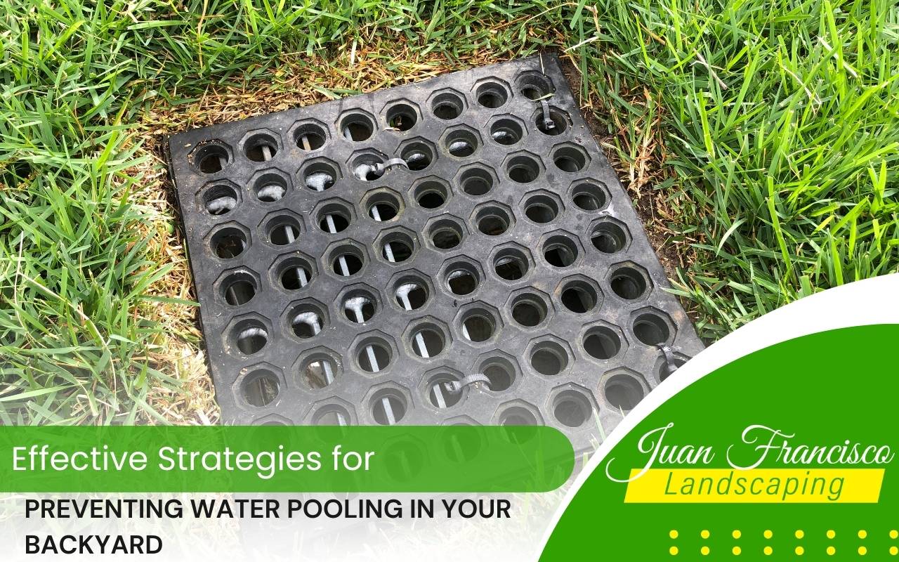 Effective backyard strategies for preventing water pooling