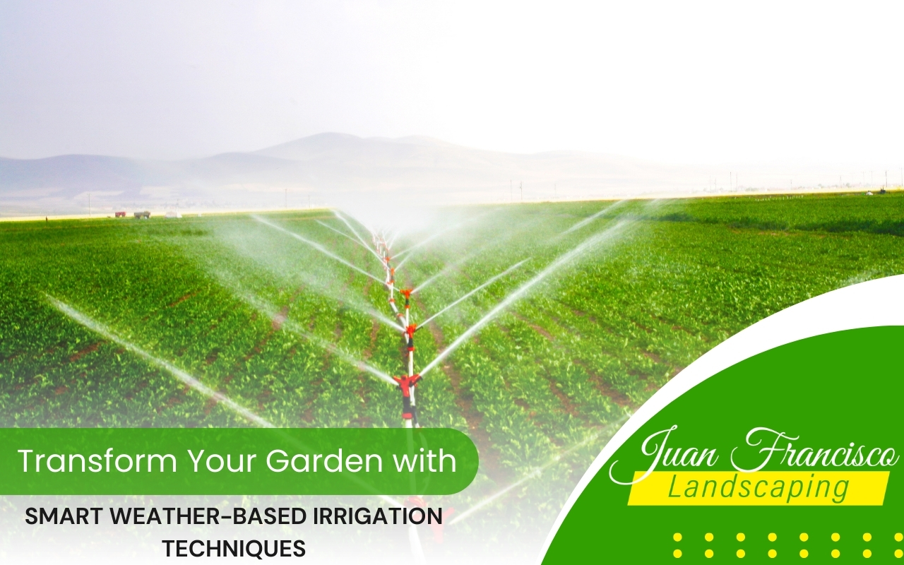 Smart weather-based irrigation system installed in a Knoxville garden for efficient watering.