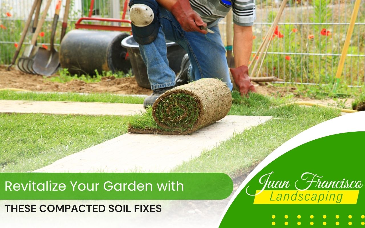 Gardener performing compacted soil fixes using aeration tools