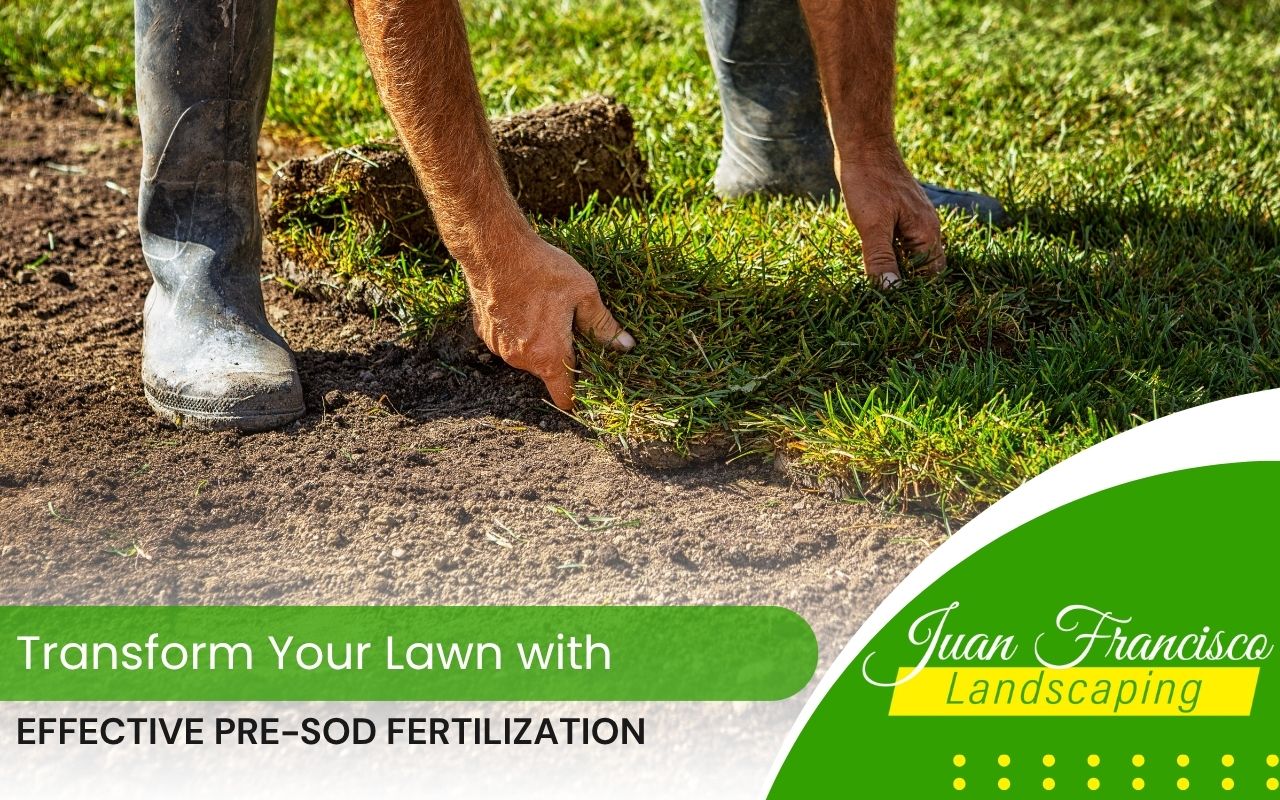Testing soil before applying pre-sod fertilization for optimal lawn health