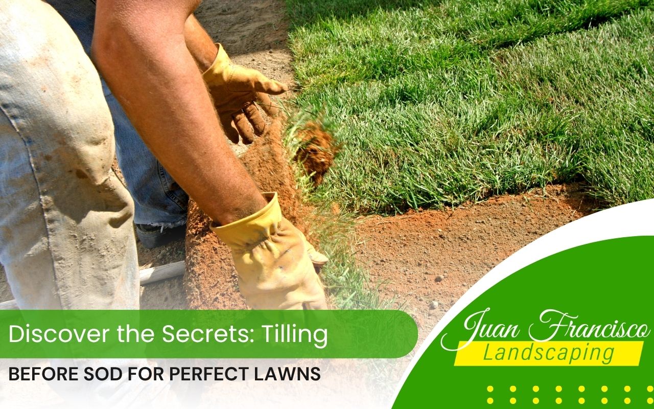 Preparing soil through tilling before sod installation for healthy roots