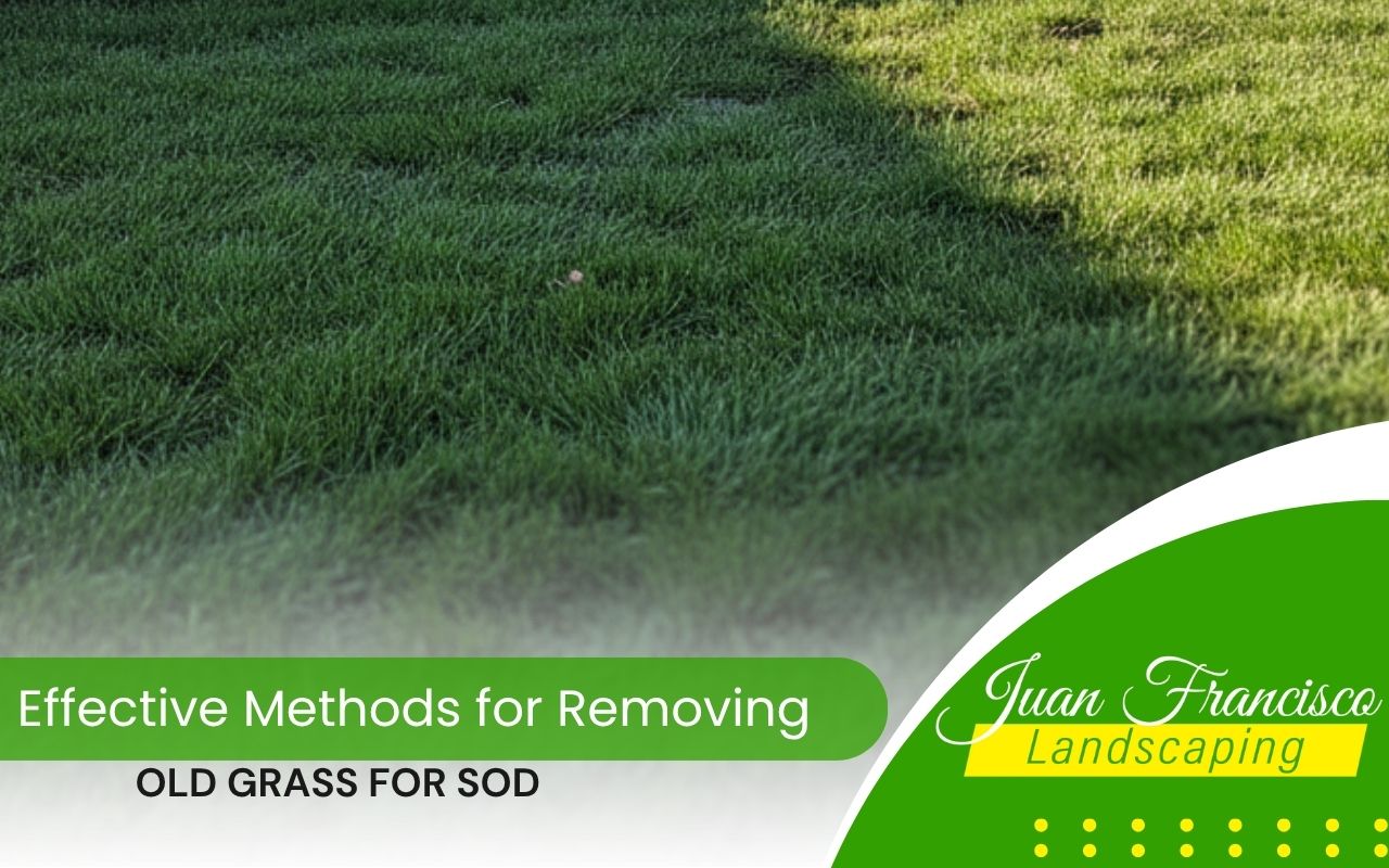 Tools and equipment used for removing old grass for sod efficiently