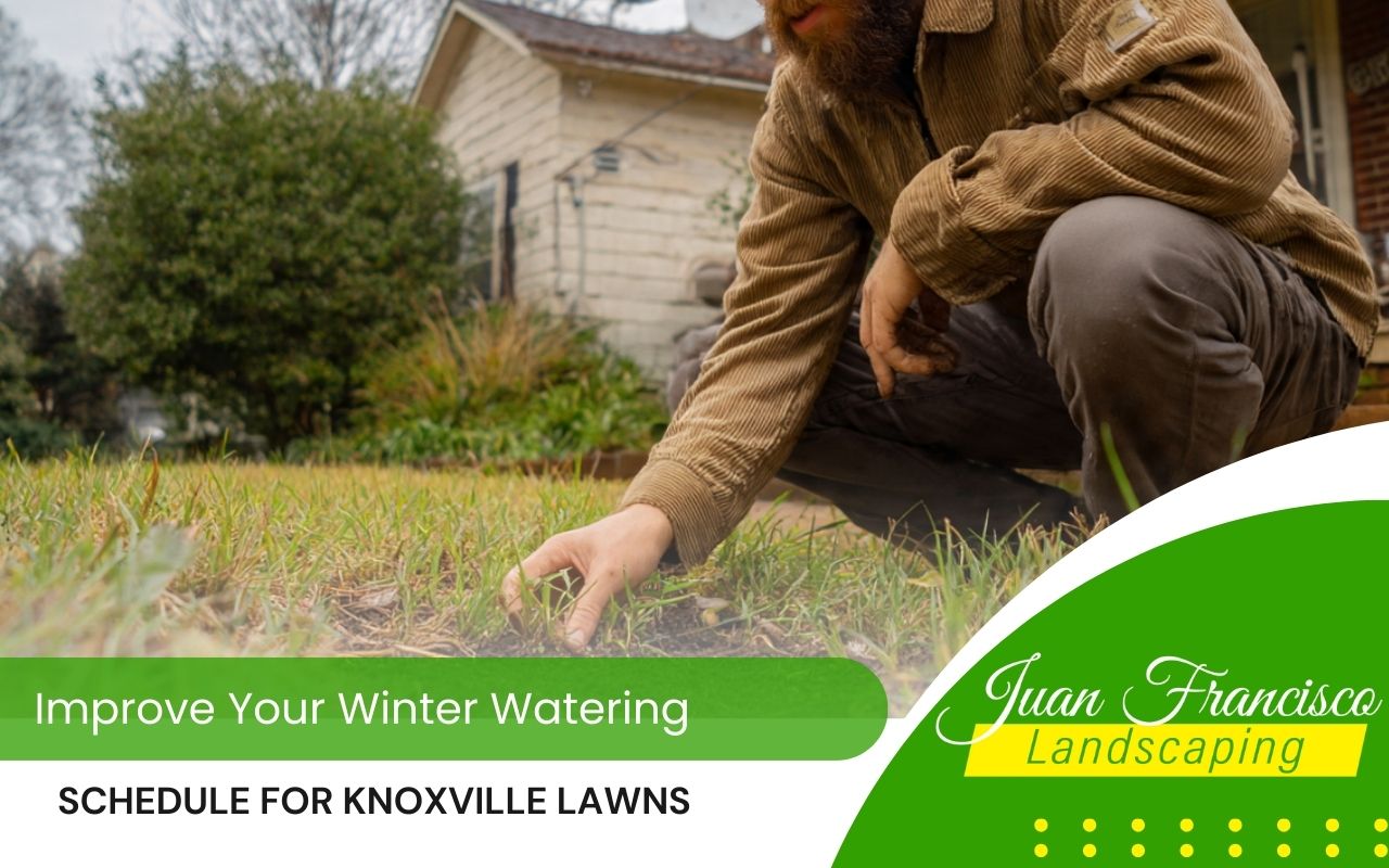 Homeowner checking soil moisture to adjust a smart Winter Watering Schedule for Knoxville Lawns