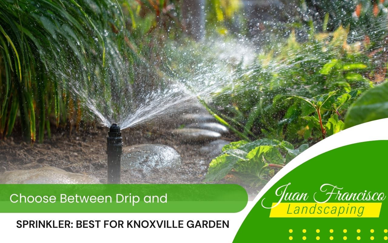 Comparison of Drip vs Sprinkler for Knoxville Garden Beds in a sunny backyard with mixed flowers