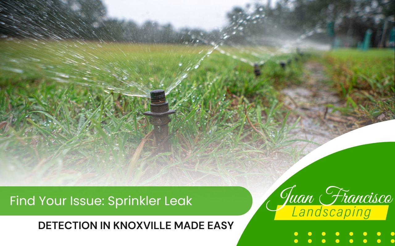 Sprinkler leak detection in Knoxville showing a soggy patch of grass near irrigation heads