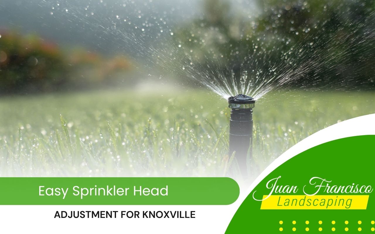 Sprinkler head adjustment for Knoxville on a backyard lawn with even spray coverage