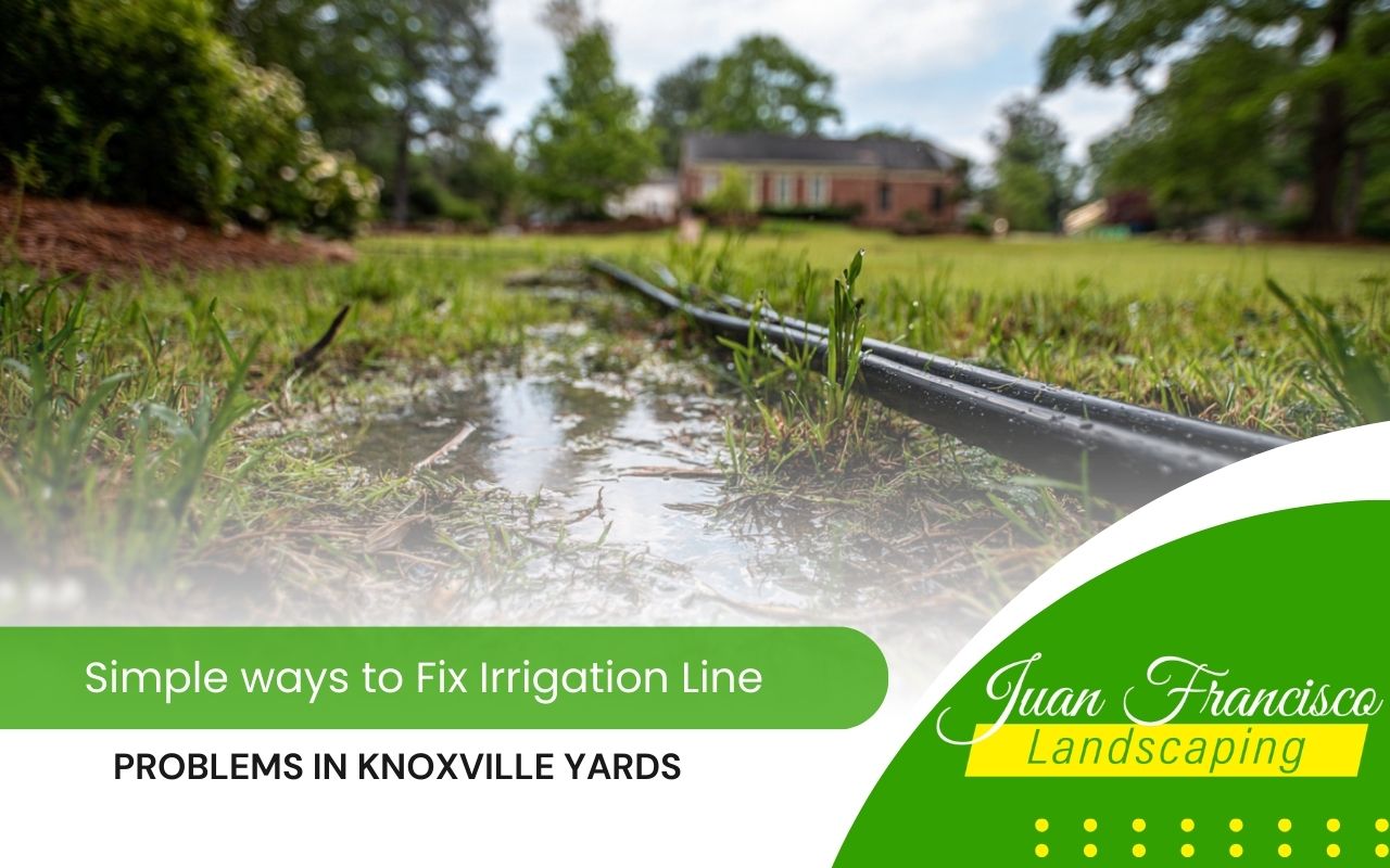 irrigation line repair in Knoxville showing a wet yard area with a hidden leak
