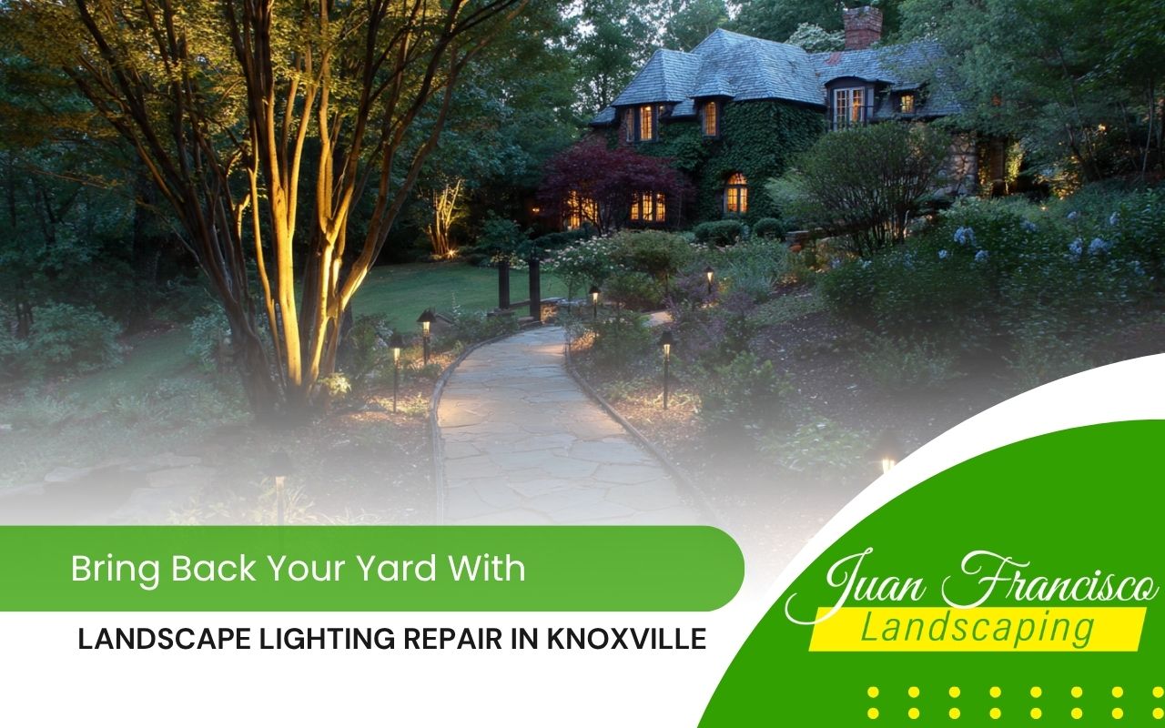 front yard after landscape lighting repair in Knoxville with warm outdoor lighting