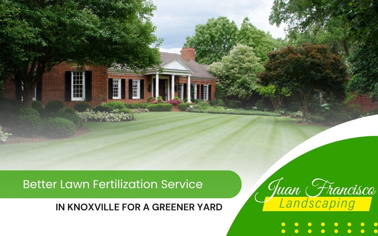 lawn fertilization service in Knoxville for a healthy green front yard