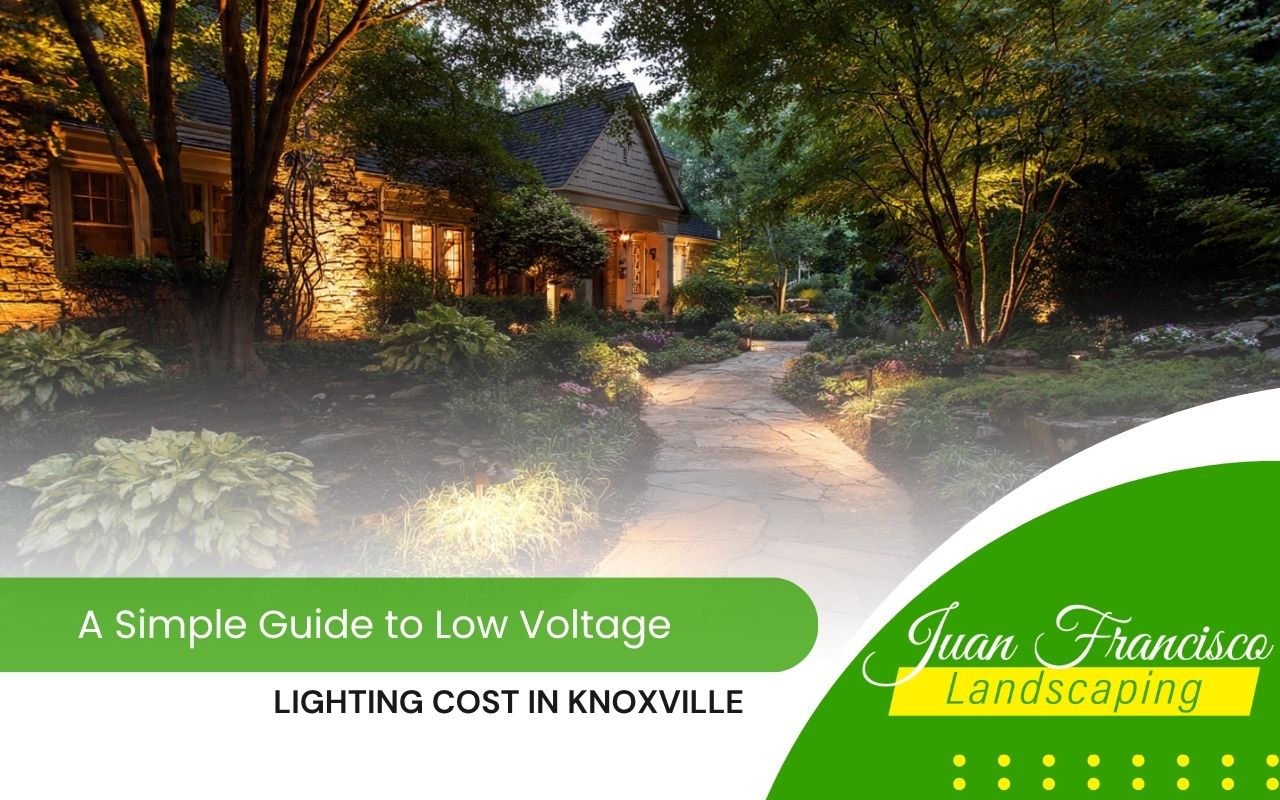 LED system showing low voltage lighting cost in Knoxville outdoor design
