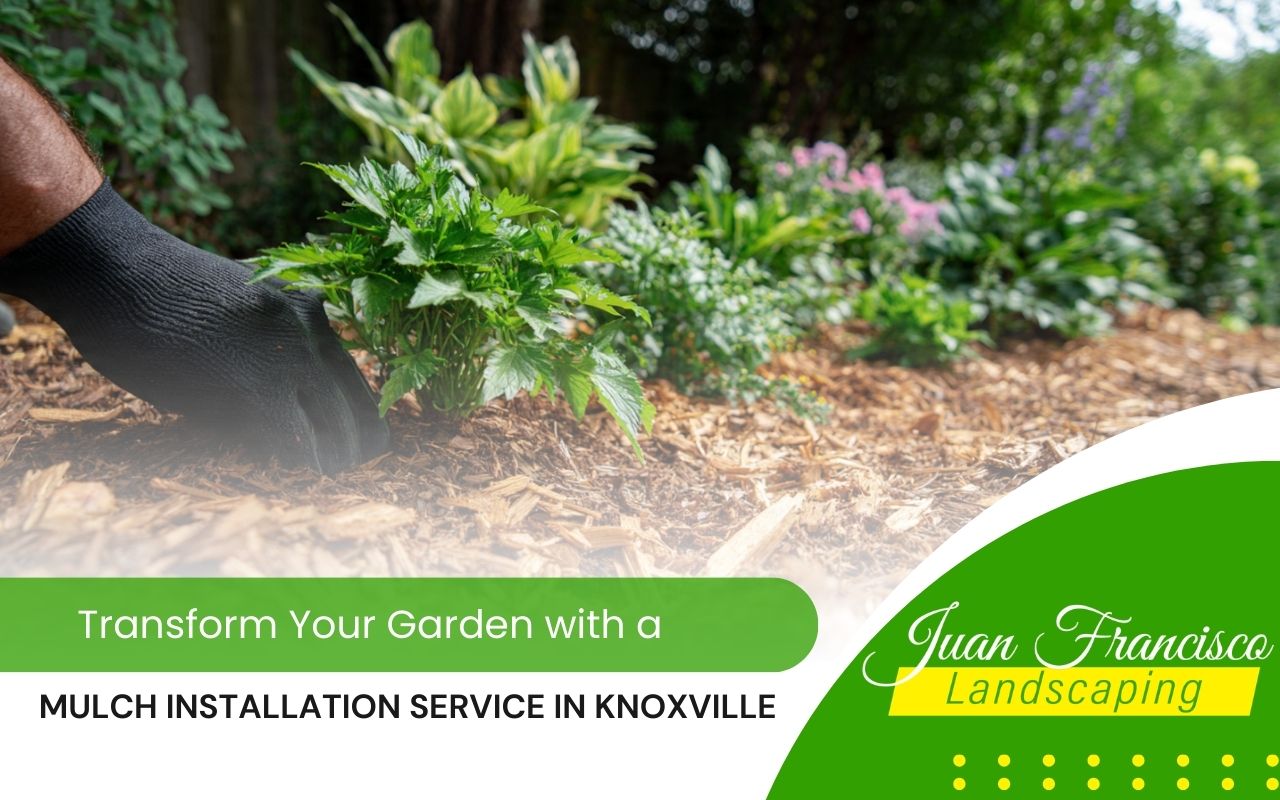 mulch installation service in Knoxville improving a clean and healthy garden bed