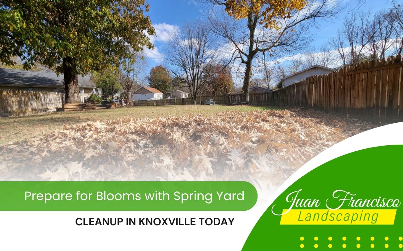 spring yard cleanup in Knoxville with leaves cleared from a backyard lawn