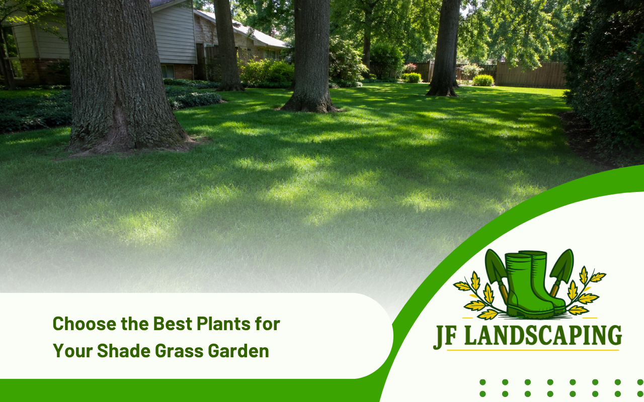 Healthy shade grass growing beneath mature trees in a Knoxville yard